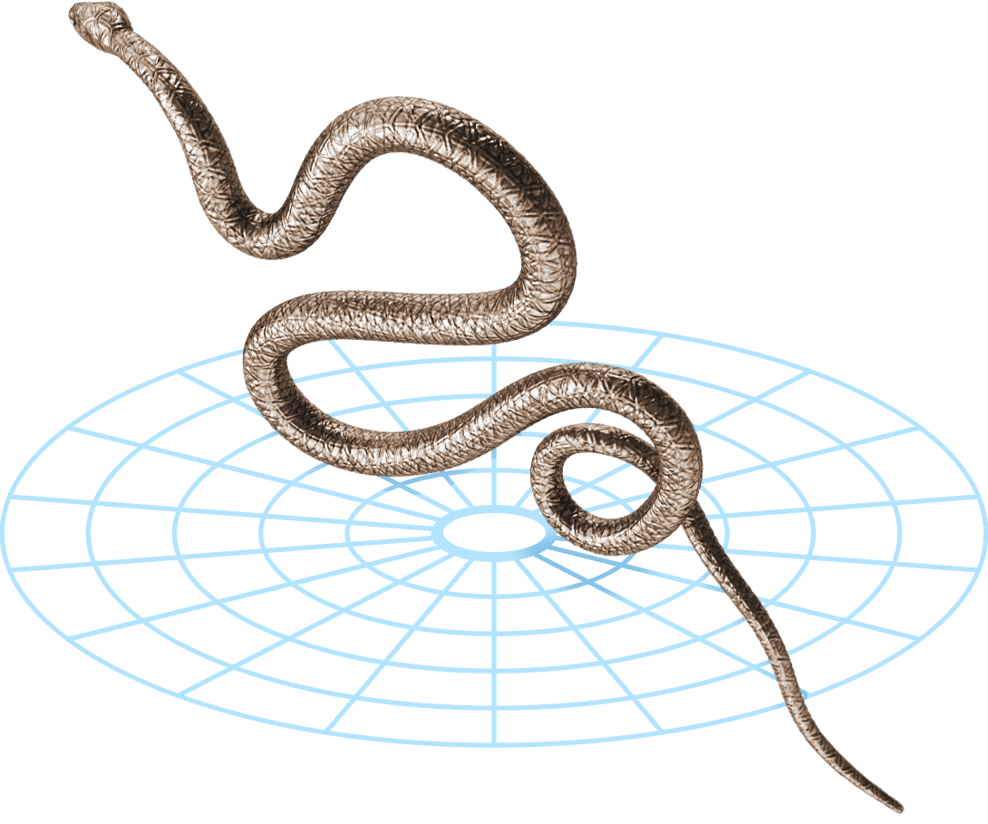 Snake